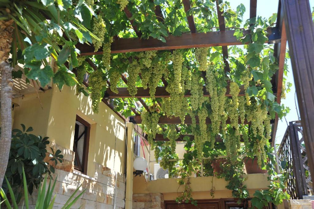 Sofia Pension Rhodes City エクステリア 写真