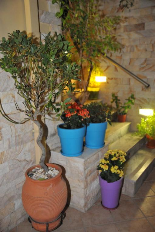 Sofia Pension Rhodes City エクステリア 写真